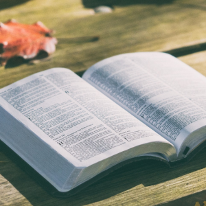 Skal man tage Bibelens ord for gældende?