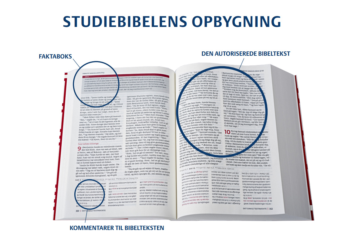 Studiebibelens opbygning