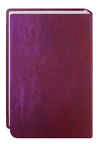 Afghansk bibel, Dari