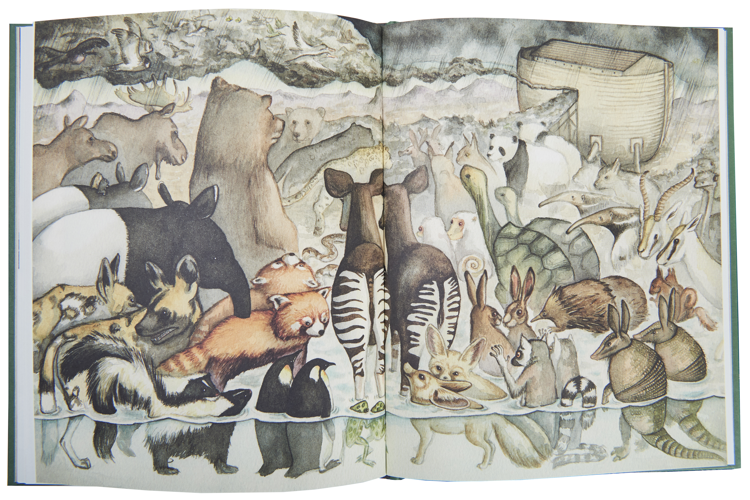 Opslag fra Noa, Illustrationer Kamilla Wichmann.