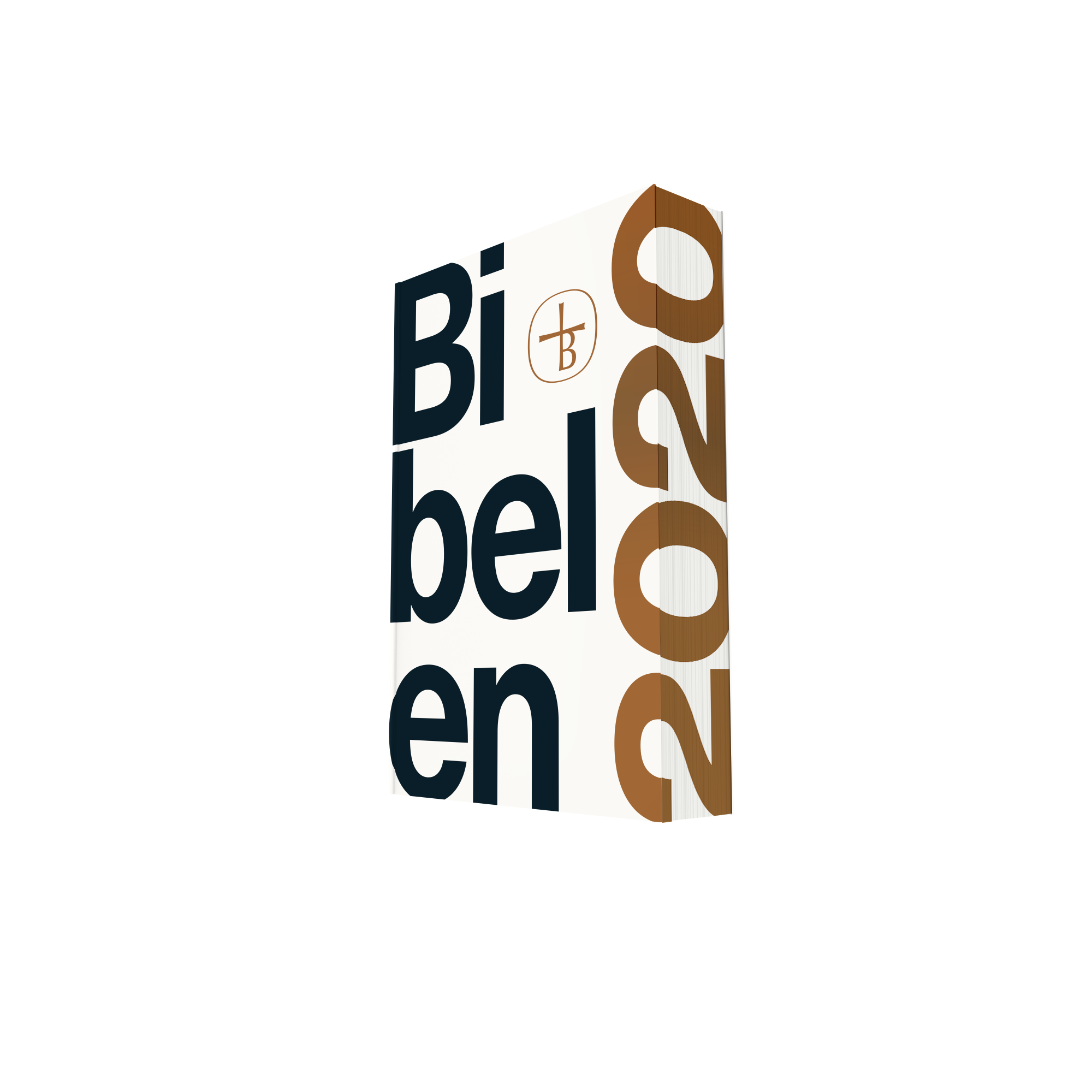 Bibelen 2020, cover 2