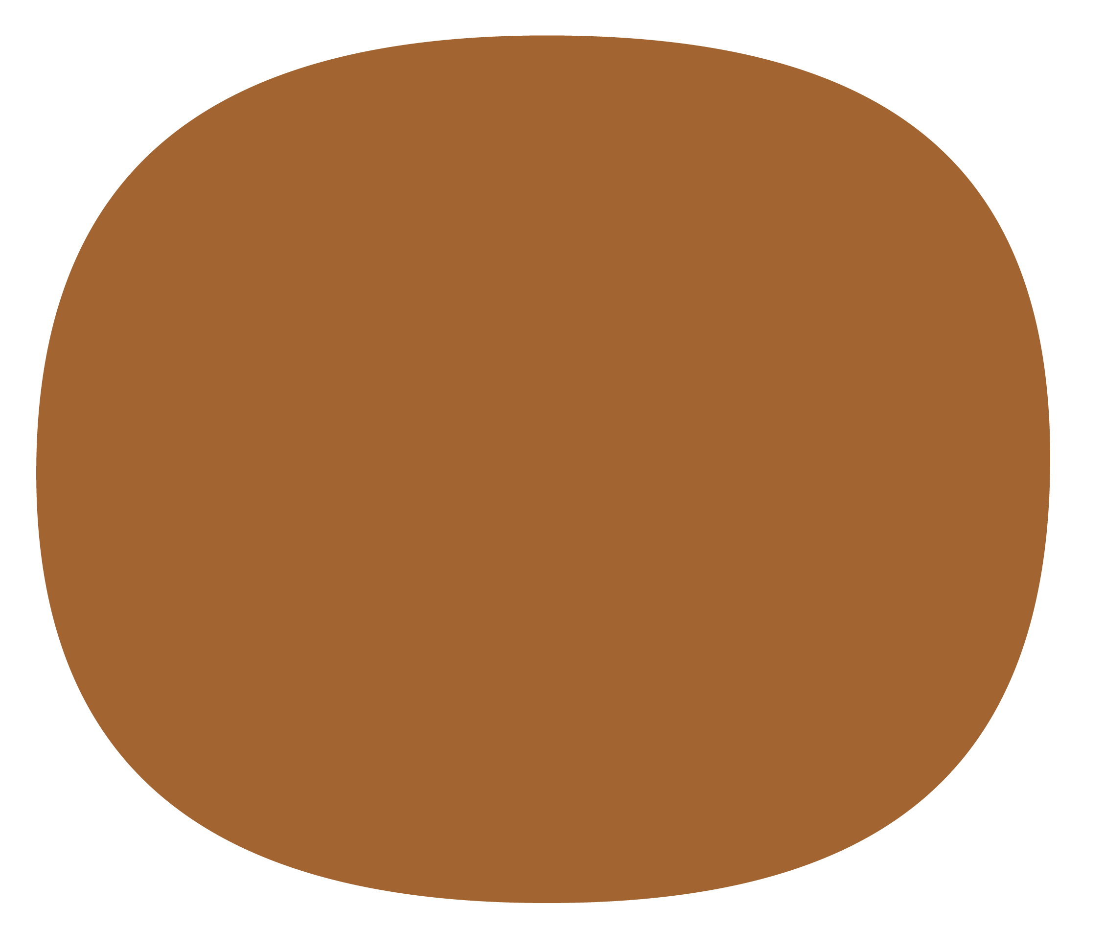 Bibelen 2020, brun ellipse