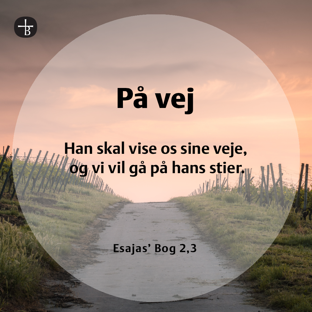 Bibelcitat: Esajas' Bog 2,3