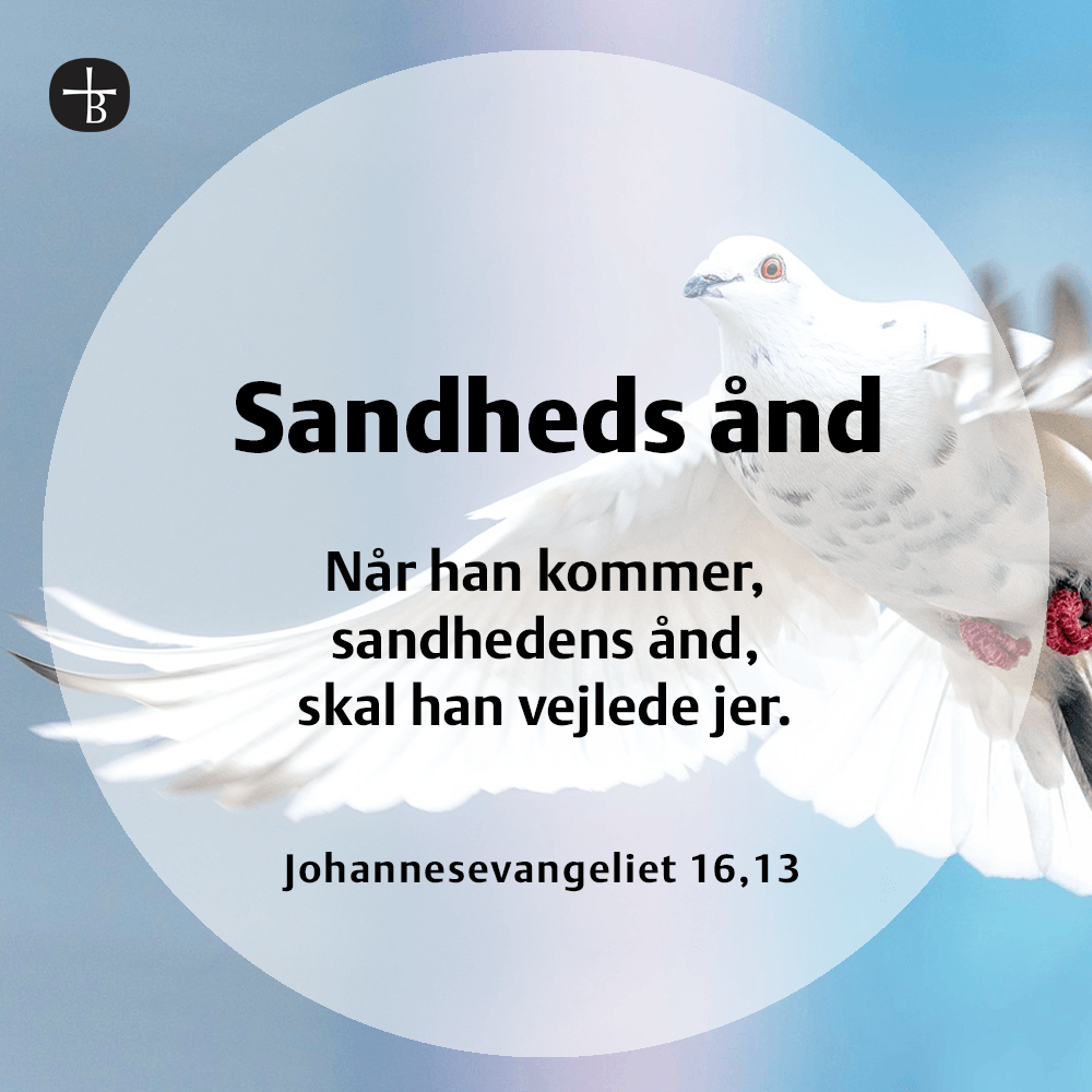 Bibelcitat: Johannesevangeliet 16,13