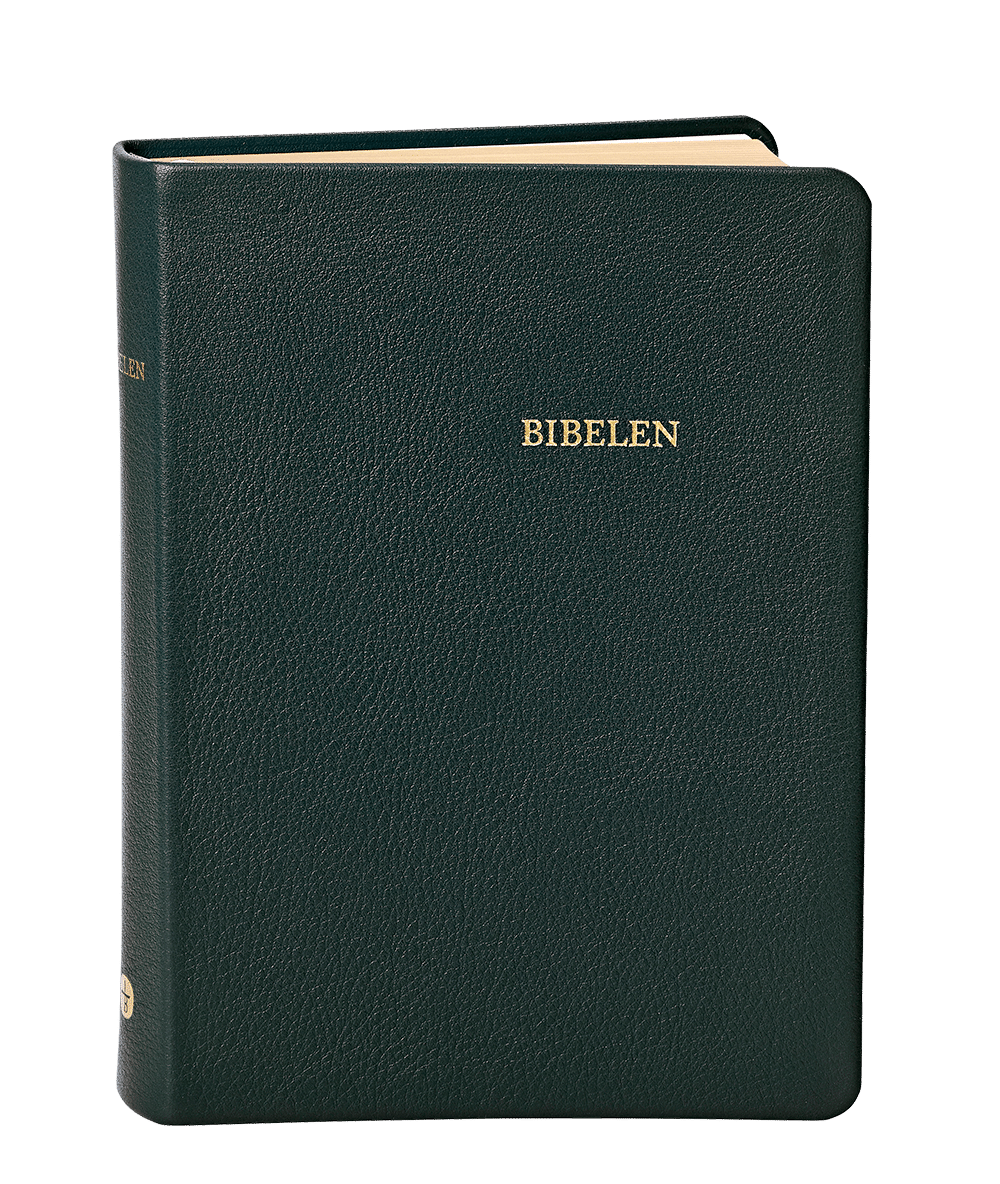 Bibel i sort skind