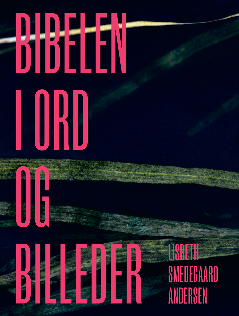 Bibelen i ord og billeder (flad)