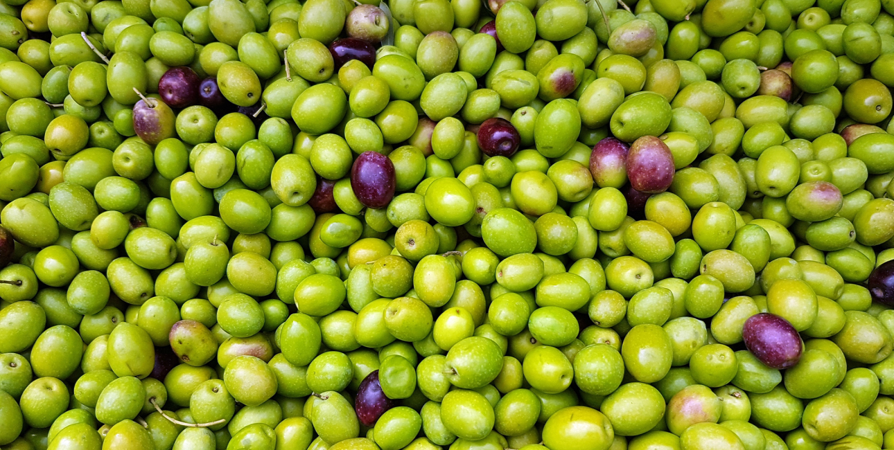 Grønne oliven