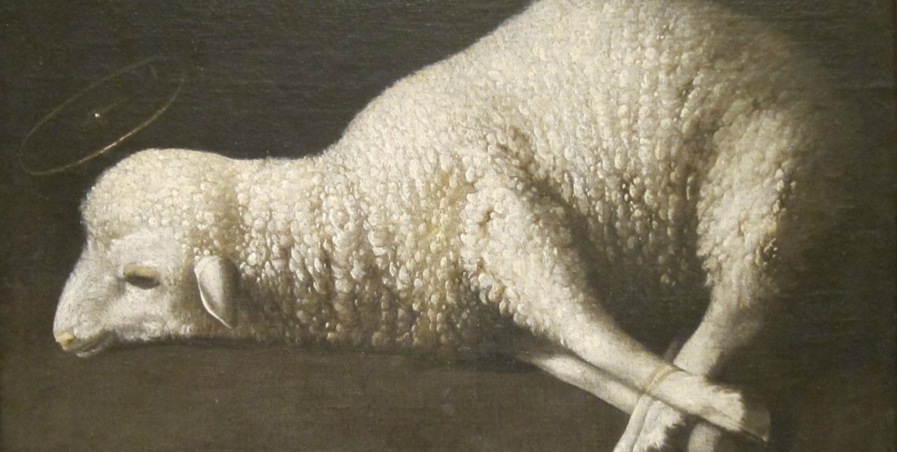 Jesus blev beskrevet som offerlammet. Udover får og lam blev også okser, geder og duer brugt som offerdyr, fortæller Anne Katrine Gudme. Maleriet kaldes "Agnus Dei" eller Guds Lam og er malet af Francisco de Zurbaran. Foto: Wikimedia Commons.