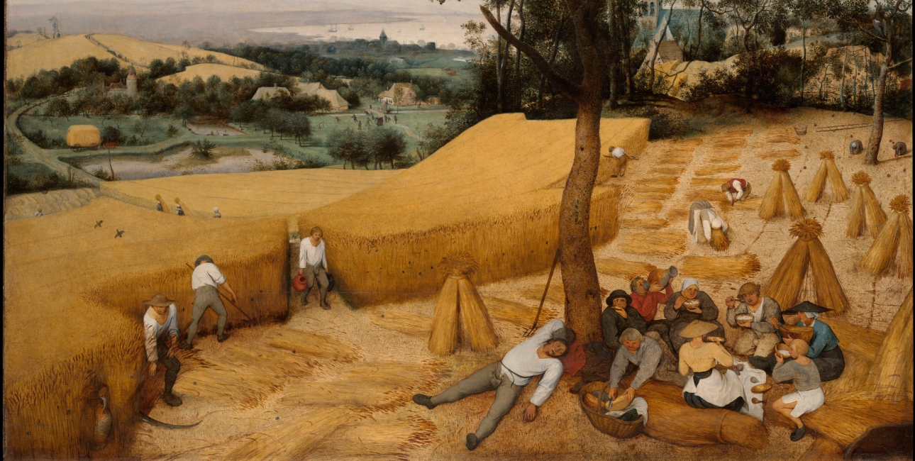 Foto: The Harvesters af Pieter Brueghel den ældre. Wikimedia Commons.