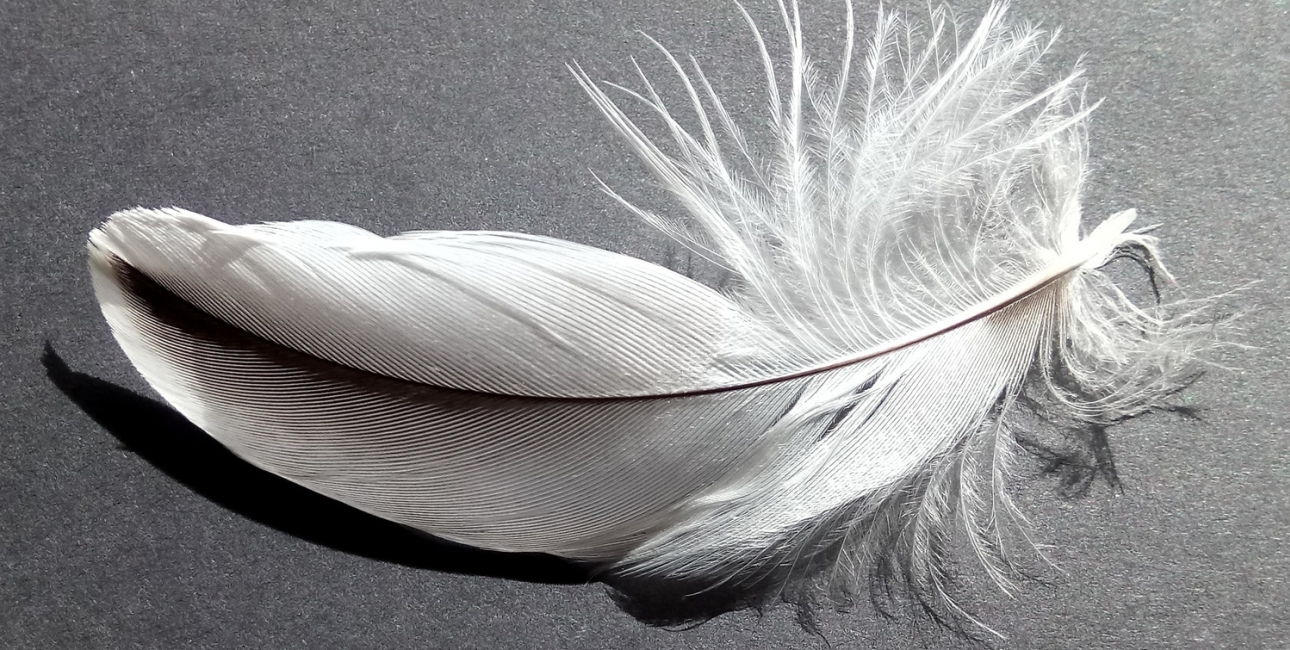 Engle er traditionelt blevet gengivet med fuglelignende vinger af fjer. Foto: Pixabay.