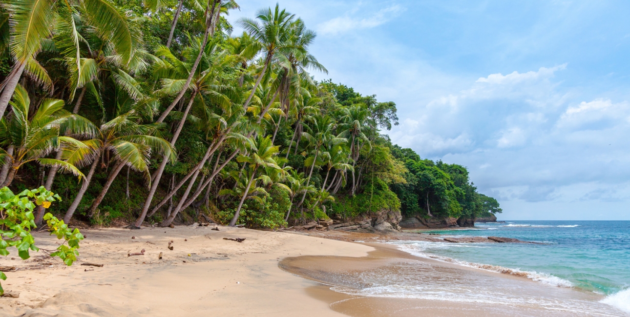 Tropisk strand. Et moderne paradis? Foto: Unsplash.