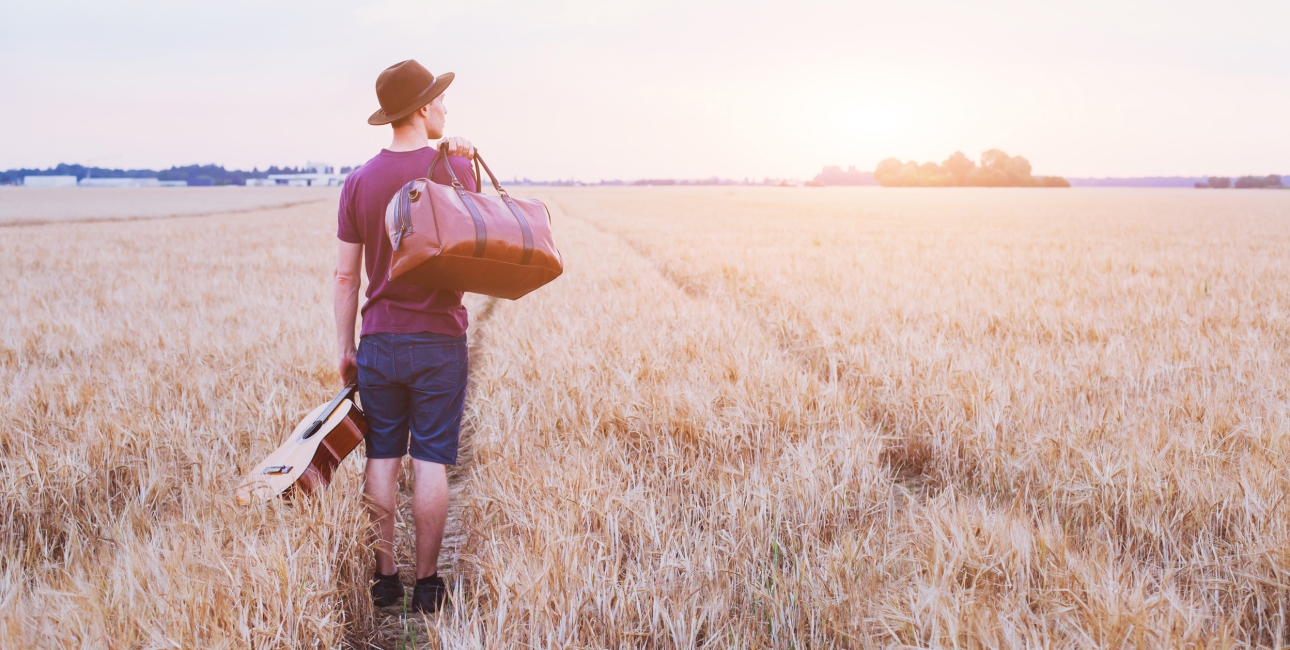 Flyver fra reden. Foto: Shutterstock.