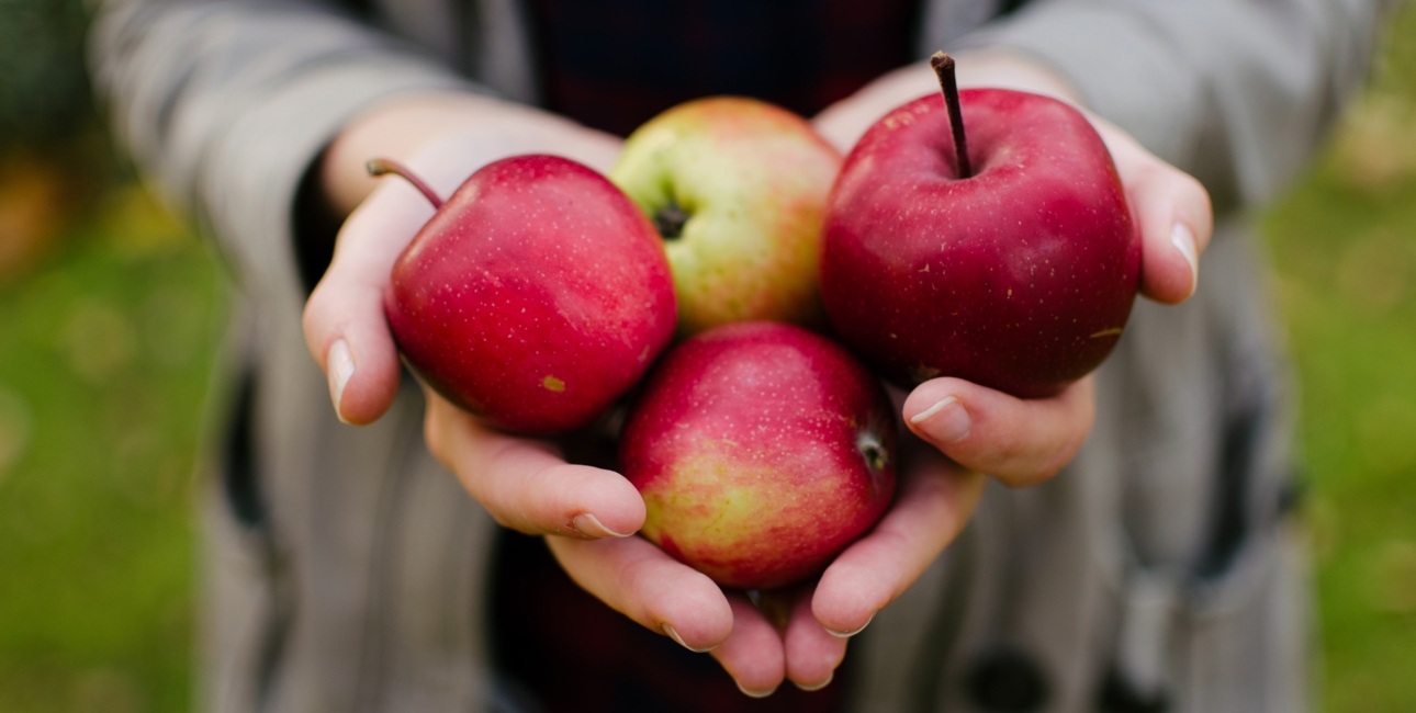 En håndfuld æbler. Foto: Unsplash.