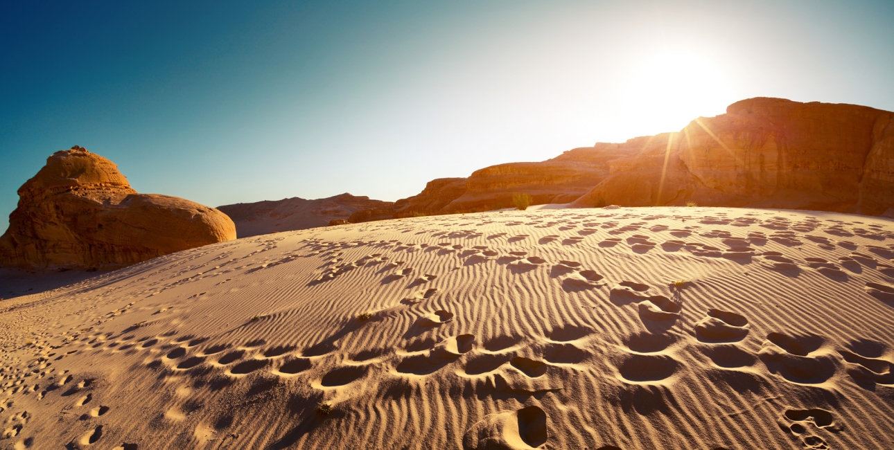 Ørken, Sinai. Foto: Dudarev Mikhail/Shutterstock.com