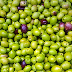 Grønne oliven