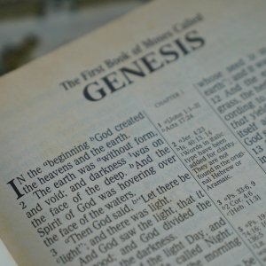 Genesis / skabelsesberetningen.