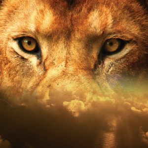 Løven Aslan i C.S. Lewis´ Narnia-fortællinger ligner på mange måder Bibelens Jesus. Løven er også et symbol på Jesus i kunsten. Foto: Pixabay.