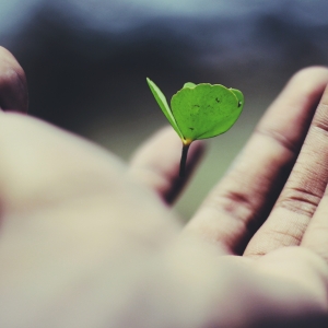 Foto: Ravi Roshan, Unsplash