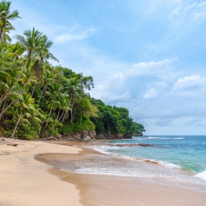 Tropisk strand. Et moderne paradis? Foto: Unsplash.