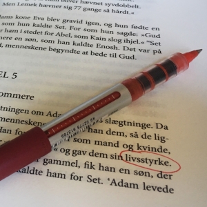 Velsignelse vs. livsstyrke. Foto: Bibelselskabet.