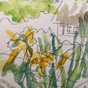 Påskeblomster. Illustration: Marianne Fischer. 