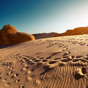 Ørken, Sinai. Foto: Dudarev Mikhail/Shutterstock.com