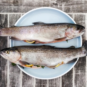 To fisk. Foto: Unsplash.com.