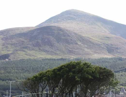 Bjergene i Mourne i Irland inspirerede C. S. Lewis til at skrive sine fortællinger om Narnia. Foto: Ardfern, Wikimedia Commons.