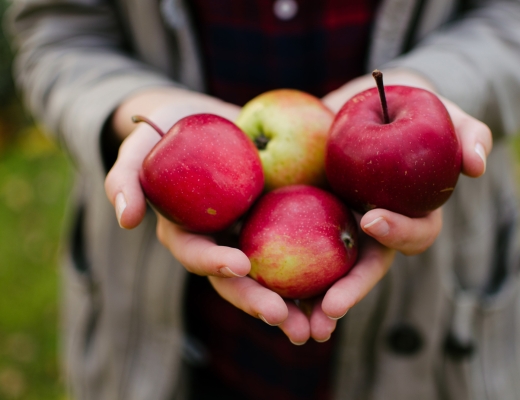 En håndfuld æbler. Foto: Unsplash.