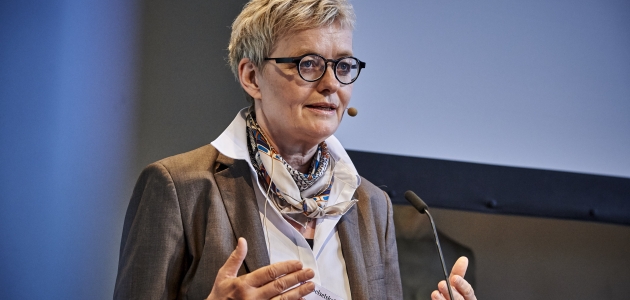 Birgitte Stoklund Larsen fremlægger på repræsentatsskabsmødet 2016