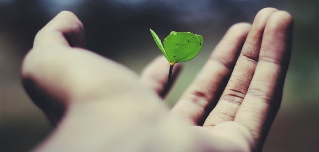 Foto: Ravi Roshan, Unsplash