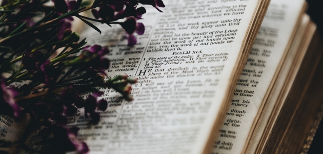Bibelen er fuld af dufte, der kan pirre vores sanser. Foto: Unsplash.