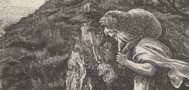 Fåret, der blev fundet. Illustration af John Everett Millais. Kilde: Wikimedia Commons.