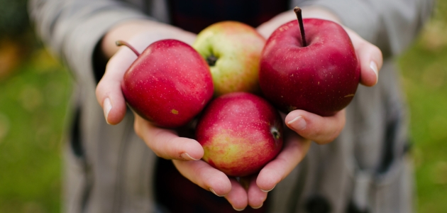 En håndfuld æbler. Foto: Unsplash.