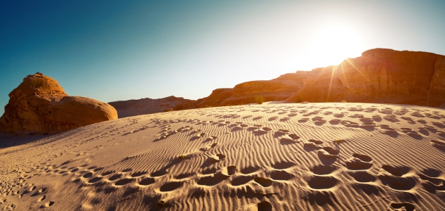 Ørken, Sinai. Foto: Dudarev Mikhail/Shutterstock.com