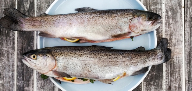 To fisk. Foto: Unsplash.com.
