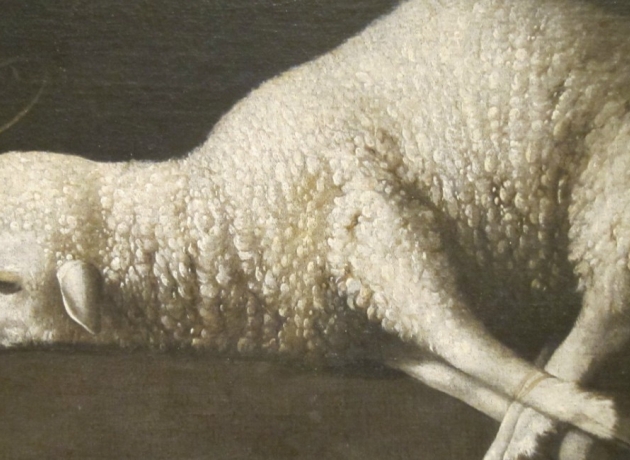 Jesus blev beskrevet som offerlammet. Udover får og lam blev også okser, geder og duer brugt som offerdyr, fortæller Anne Katrine Gudme. Maleriet kaldes "Agnus Dei" eller Guds Lam og er malet af Francisco de Zurbaran. Foto: Wikimedia Commons.
