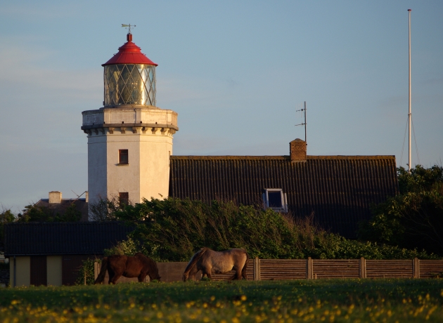 Hanstholm Fyrtårn
