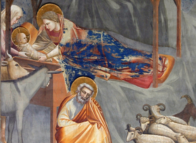 Jesus' fødsel Fresco af Giotto fra Scrovegni-kapellet.