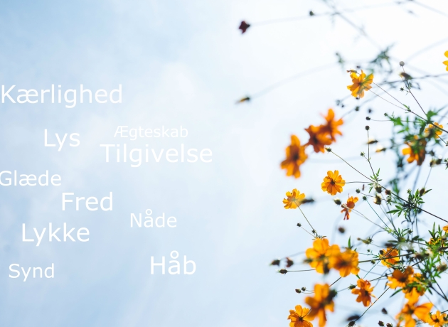 Top 10 søgeord i 2019. Foto: Masaaki Komori / Unsplash