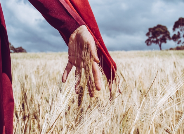 Ruth i kornmarken. Foto: Unsplash.