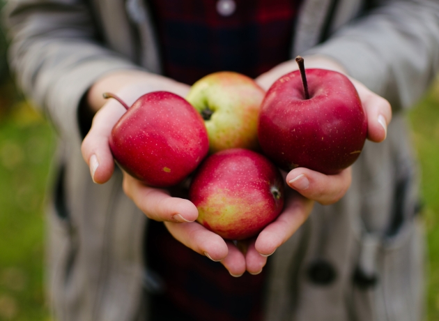 En håndfuld æbler. Foto: Unsplash.