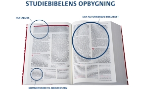 Studiebibelens opbygning