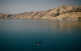 Mellemøsten. Foto: Levi Clancy/Unsplash