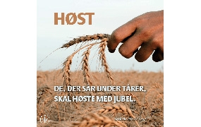 Fakta: Salmernes Bog 126,5