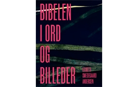 Bibelen i ord og billeder