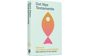 Det Nye Testamente oversat af Anna Sophie og Paul Seidelin