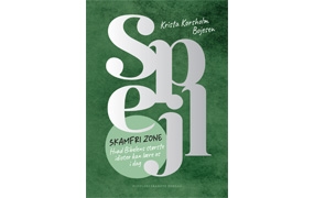 Spejl