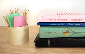 Bibeloversættelsesworkshop