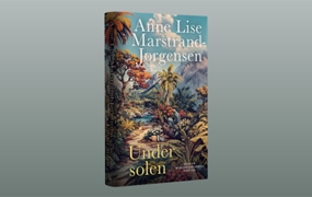 Under solen